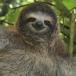 DonJosSim - @mrjingglez - Instagram