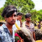 Don Joyal - @_____gowtham_____007 - Instagram