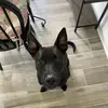 donnie.joyner - @donnie.joyner - TikTok