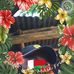 Don Julien - Facebook