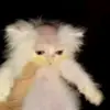 idk - @donjuneaubaggay - TikTok