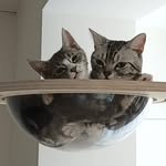 이동명 - @donjustbeingdon - Instagram