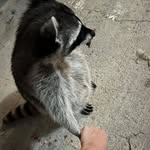 Donjustdon - @don_just_don2 - Instagram