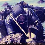 伊良湖　地場魚貝料理　お食事処・民宿　呑海（どんかい） - @i_donkai - Instagram