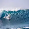 Don Kane - @spreadthealohadaily - TikTok