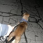 Donny - @don_kingery38 - Instagram