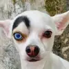 Don Kiser - @don.kiser - TikTok