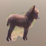Y E J I N - @donkling_slimes - Instagram