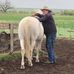 Don Knapp - Facebook