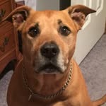 Don Knapp - @don.knapp55 - Instagram