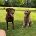 Don Knapp - Facebook