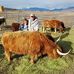 Knappranches Don Knapp - Facebook