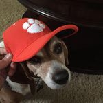 Don Koon - @dkdog63 - Instagram