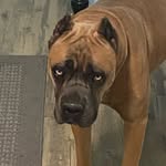 Don Kramer - @don.kramer.712 - Instagram