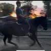 kamdonkramer18 - @kamdonkramer18 - TikTok