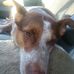 Don Krebs - Facebook
