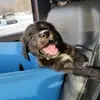 Don Krebs - @don.krebs - TikTok