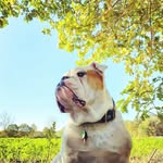 Don Krebso - @donkrebso - Instagram