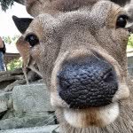 donkrebs - @donkrebs - Instagram