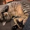 Donna Kruppenbach - @donna.kruppenbach - TikTok