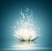 Don Lam - Facebook