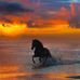 Don Lambert - Facebook