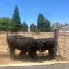 Don Lancaster - @don.lancaster - TikTok