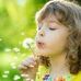 Dona Larose - Facebook