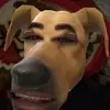 DonLayLow - @donlaylow - TikTok