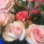 donna leatherman - @donnaleathermanllc - Instagram