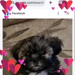 Don LeBlanc - Facebook