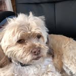 Don Leggett - @don.leggett.54 - Instagram