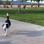 Don Leland Slates - @don.slates - Instagram