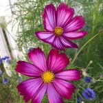 Donna Leland - @donna.leland - Instagram