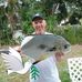 Donald Lemaster - Facebook