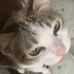 Don Leng - Facebook
