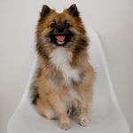 HEY - YOU CAN CALL ME LEO - @donleon.g - Instagram