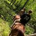 Donavan Lewandowski - Facebook