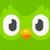 don - @donlingobrasil - TikTok