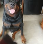 Don Long - Facebook