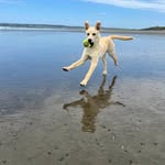 Don MacAskill - @acadiaaxeman - Instagram