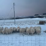 Donald Macaskill - @donald_j_macaskill - Instagram