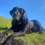 Donna Macaskill - @donna768macaskill - Instagram
