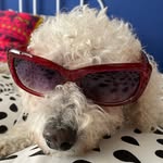 Donna MacAskill Reilly - @donnamacaskillreilly - Instagram