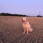 Don - @don1.maclennan - Instagram