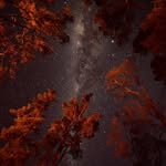 Don MacLennan - @don.maclennan1 - Instagram