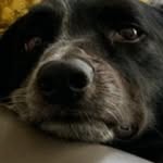 Donnie MacLennan - @dondonman - Instagram