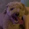 don marsh - @don.marsh89 - TikTok