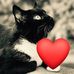 Don Martone - Facebook
