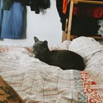 Don Katu Marx - @donk.atu - Instagram